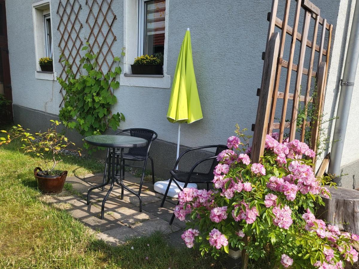 Ferienwohnung Simmert Kurort Gohrisch Eksteriør bilde